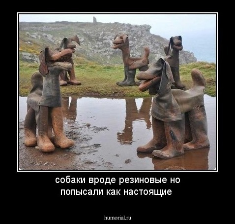 собаки вроде резиновые но попысали как настоящие
