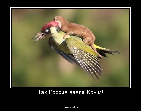 Так Россия взяла Крым!