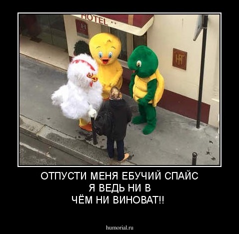 ОТПУСТИ МЕНЯ ЕБУЧИЙ СПАЙС Я ВЕДЬ НИ В ЧЁМ НИ ВИНОВАТ!!