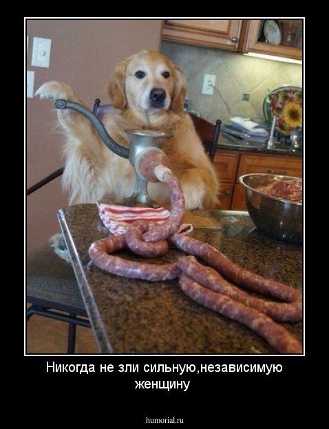 Никогда не зли сильную,независимую женщину
