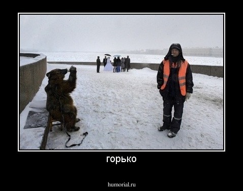 горько