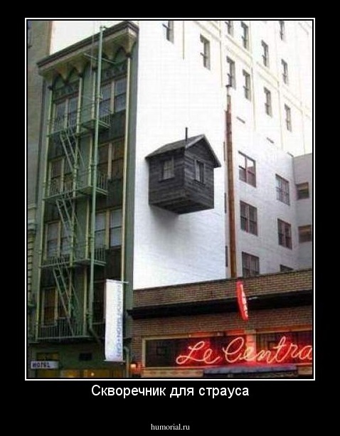 Скворечник для страуса