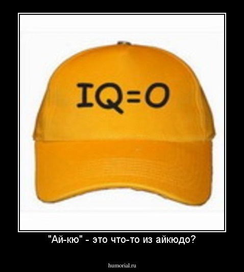 "Ай-кю" - это что-то из айкюдо?