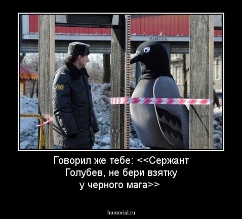 Говорил же тебе: <<Сержант Голубев, не бери взятку у черного мага>>