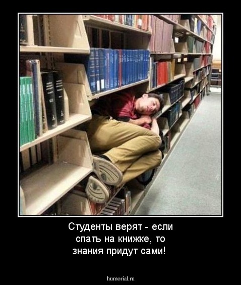 Студенты верят - если спать на книжке, то знания придут сами!