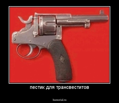 пестик для трансвеститов