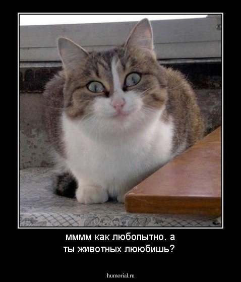 мммм как любопытно.
а ты животных лююбишь?