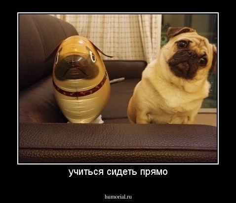 учится сидеть прямо