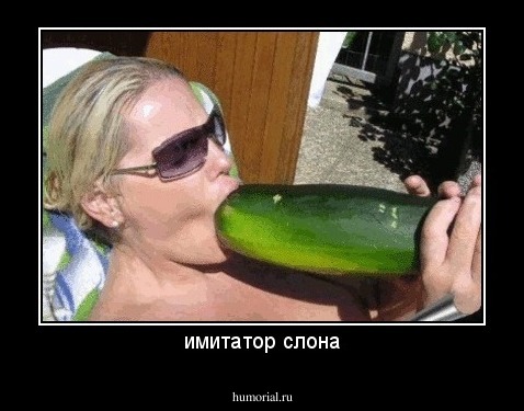 имитатор слона