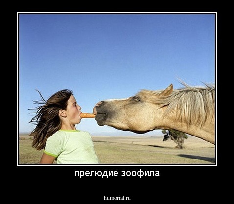 прелюдие зоофила