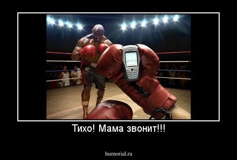 Тихо! Мама звонит!!!
