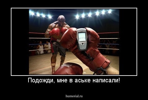 Подожди, мне в аське написали!