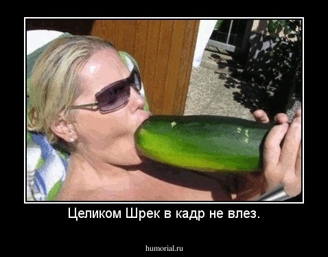 Целиком Шрек в кадр не влез.