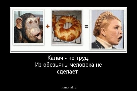 Калач - не труд. Из обезьяны человека не сделает.