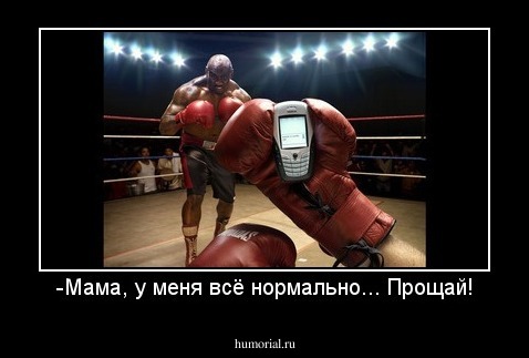 -Мама, у меня всё нормально... Прощай!
