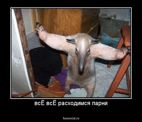всЁ всЁ расходимся парни