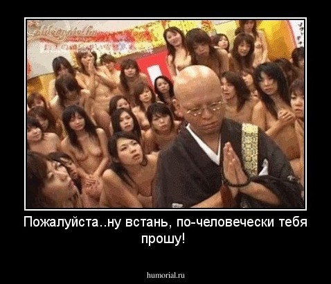 Пожалуйста..ну встань, по-человечески тебя прошу!