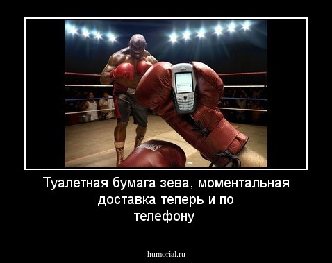 Туалетная бумага зева, моментальная доставка теперь и по телефону