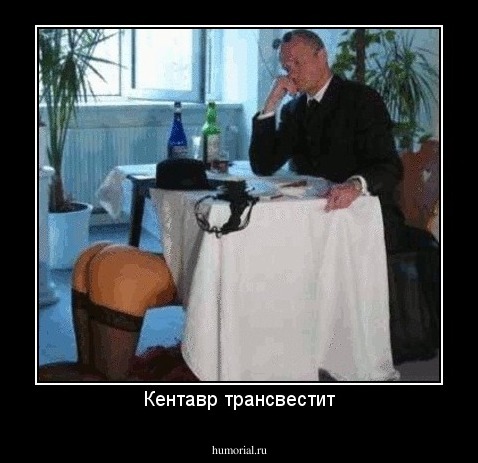 Кентавр трансвестит