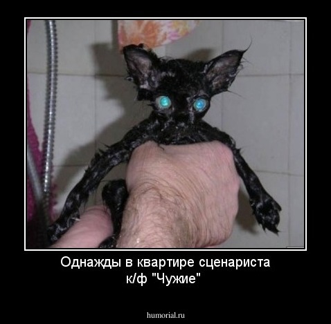 Однажды в квартире сценариста к/ф "Чужие"