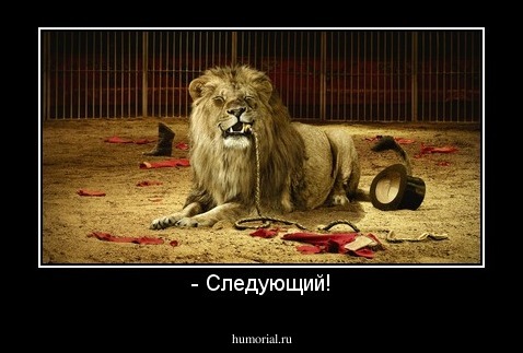 - Следующий!