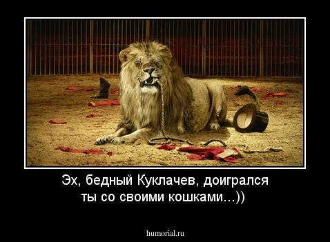 Эх, бедный Куклачев, доигрался ты со своими кошками...))