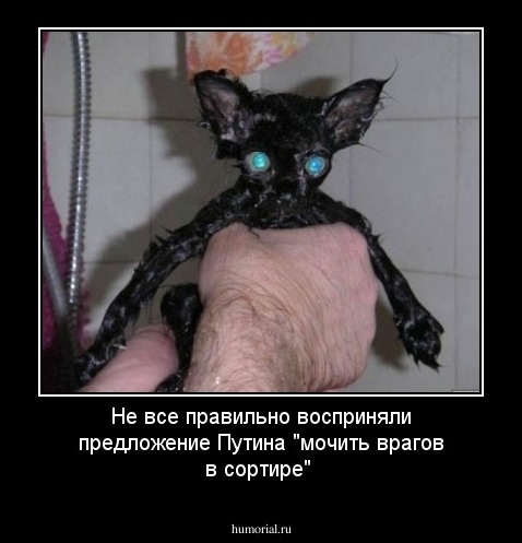 Не все правильно восприняли предложение Путина "мочить врагов в сортире"