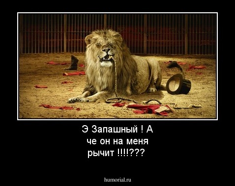 Э Запашный ! А че он на меня рычит !!!!???
