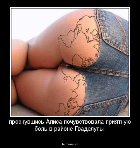 проснувшись Алиса почувствовала приятную боль в районе Гваделупы