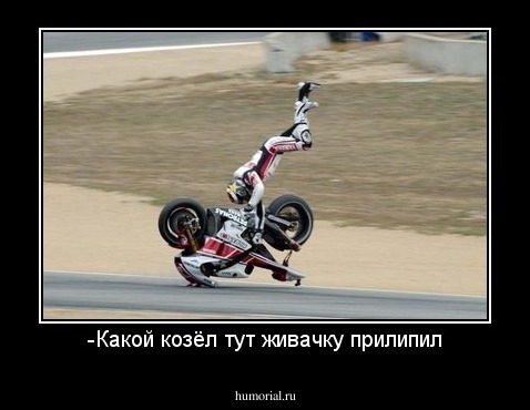-Какой козёл тут живачку прилипил