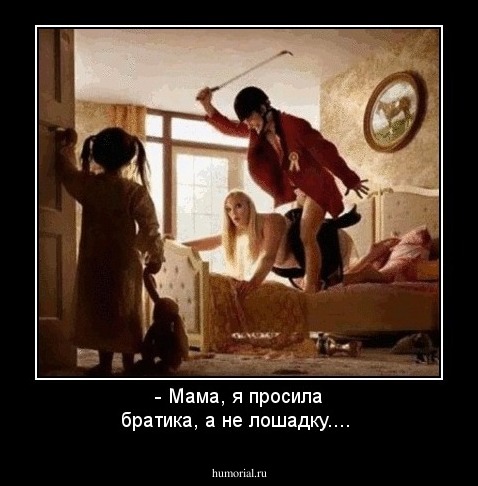 - Мама, я просила братика, а не лошадку....