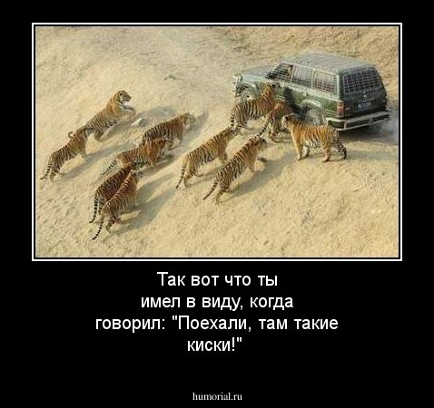 Так вот что ты имел в виду, когда говорил: "Поехали, там такие киски!"