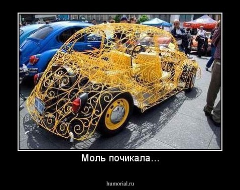 Моль почикала...