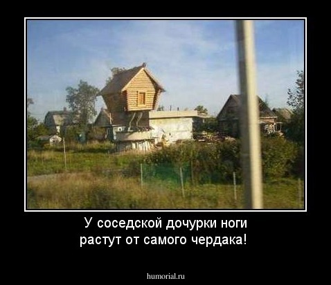 У соседской дочурки ноги растут от самого чердака!