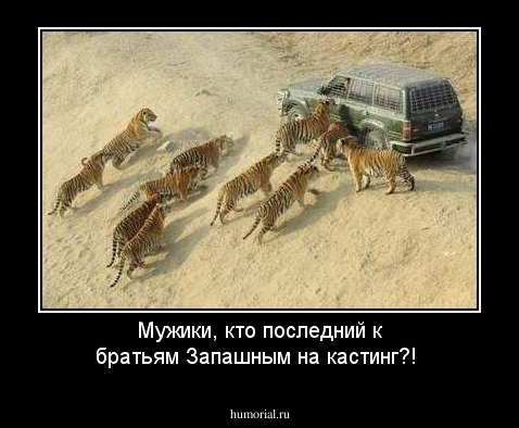 Мужики, кто последний к братьям Запашным  на кастинг?!