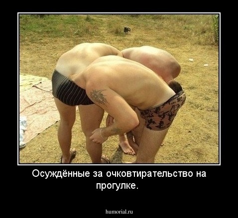 Осуждённые за очковтирательство на прогулке.