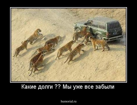 Какие долги ?? Мы уже все забыли 