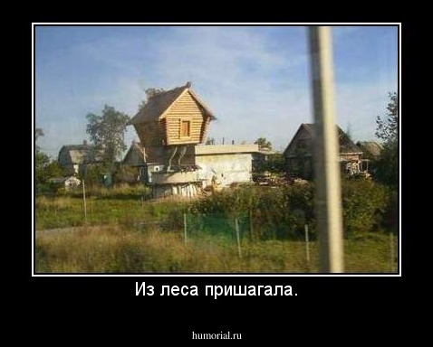 Из леса пришагала.