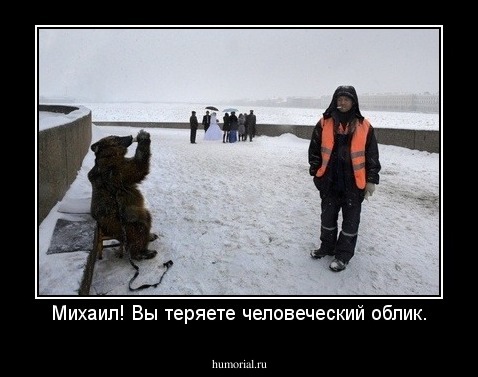 Михаил! Вы теряете человеческий облик.