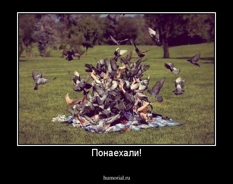 Понаехали!