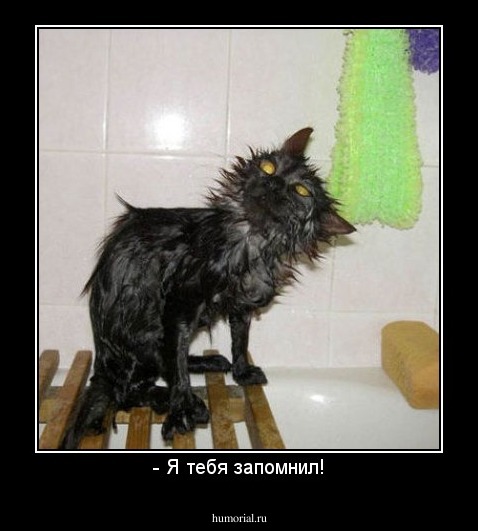 - Я тебя запомнил!