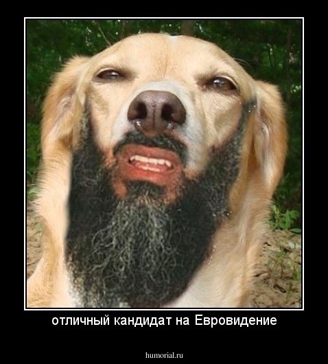 отличный кандидат на Евровидение