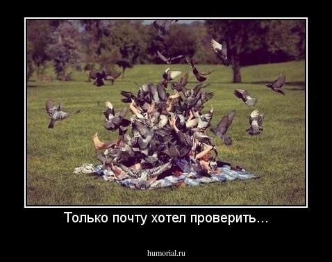 Только почту хотел проверить...