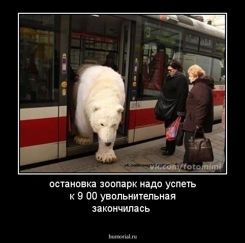 остановка зоопарк надо успеть к 9 00 увольнительная закончилась