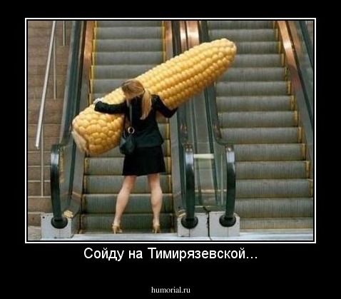 Сойду на Тимирязевской...