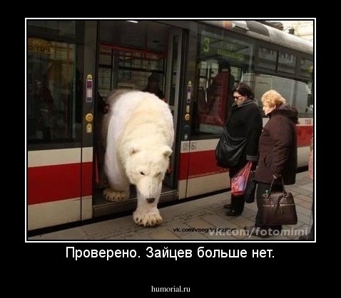 Проверено. Зайцев больше нет.