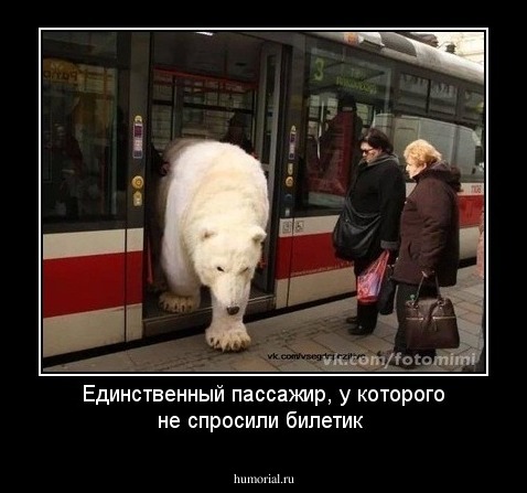 Единственный пассажир, у которого не спросили билетик