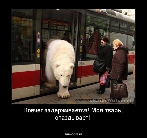 Ковчег задерживается! Моя тварь, опаздывает!