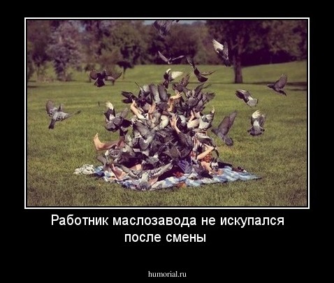 Работник маслозавода не искупался после смены