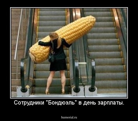 Сотрудники "Бондюэль" в день зарплаты.